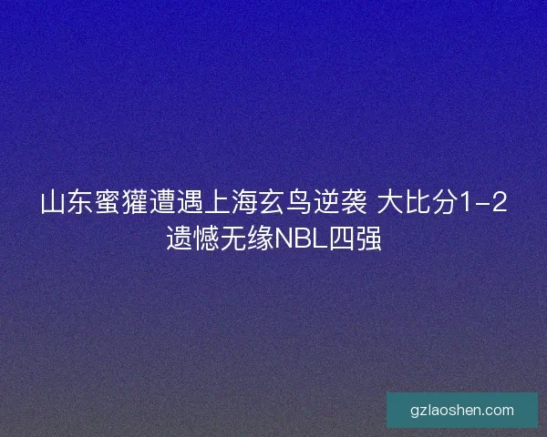 山东蜜獾遭遇上海玄鸟逆袭 大比分1-2遗憾无缘NBL四强